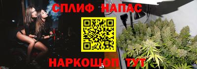 мдпв Беслан
