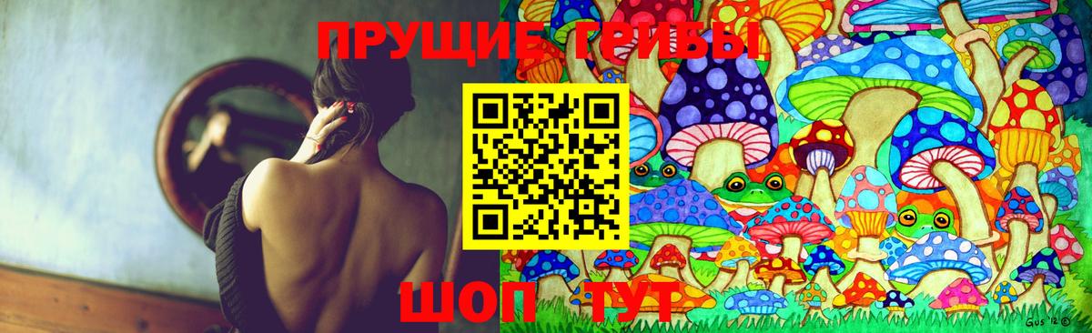 Галлюциногенные грибы Psilocybine cubensis  Вход с VPN  Псилоцибиновые грибы Magic Shrooms  Астрахань 